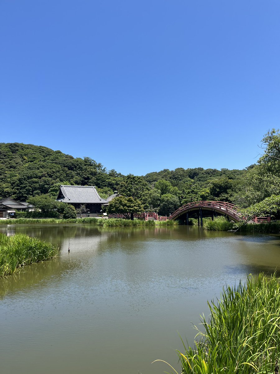 YasukoFuruse's tweet photo. すごい勢いで７月が通り過ぎた。
シュミット『７つの封印の書』、東響コーラスでは既に練習が始まってましたが、N響公演に向けた練習も新国合唱団で始まりました。同じ時期にこの曲がかぶるなんて、なかなかレアな体験なのではなかろうか。そして🎹めちゃ難曲😱
今日から夏休み第一弾、ひと休み☺️✨ https://t.co/qK4Kqm1Fn8