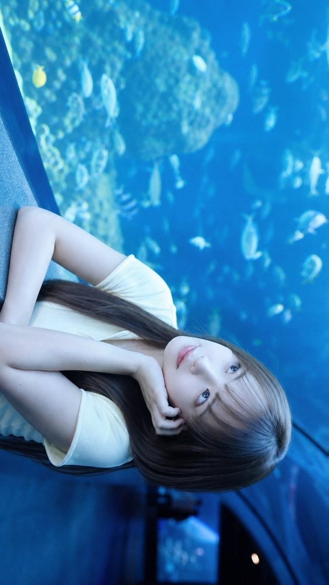suu__ch00's tweet photo. 7月ありがとうございました‼️
8月もよろしくお願いします🐬🫧 https://t.co/wvE5UQiZWQ