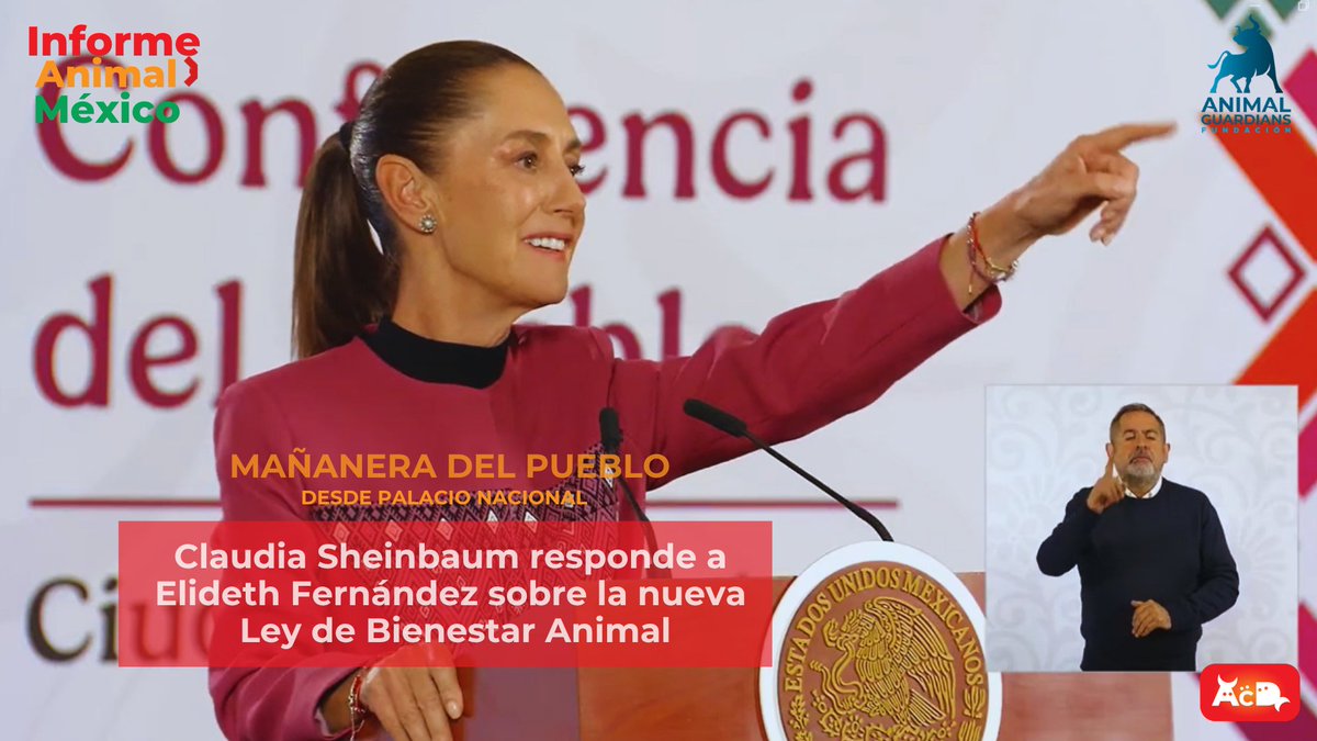 ACD_canal's tweet photo. 🇲🇽🐾 Elideth Fernández presentó ante la Presidenta Claudia Sheinbaum propuestas para fortalecer la futura Ley General de Bienestar Animal.

🎥 Descubre las respuestas y compromisos en el programa completo https://t.co/YChKRUy0wI

#AnimalesConDerechos #MovimientoConciencia https://t.co/qwtvExAq9M