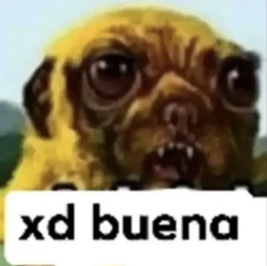 rulo1042718's tweet photo. @THE_RED_YUU @Grifvoid @Edrien_Mat13 Piero Benjamin Garcia Kispe - villa el salvador, peru, para ser exactos https://t.co/eyjYJtX2pa