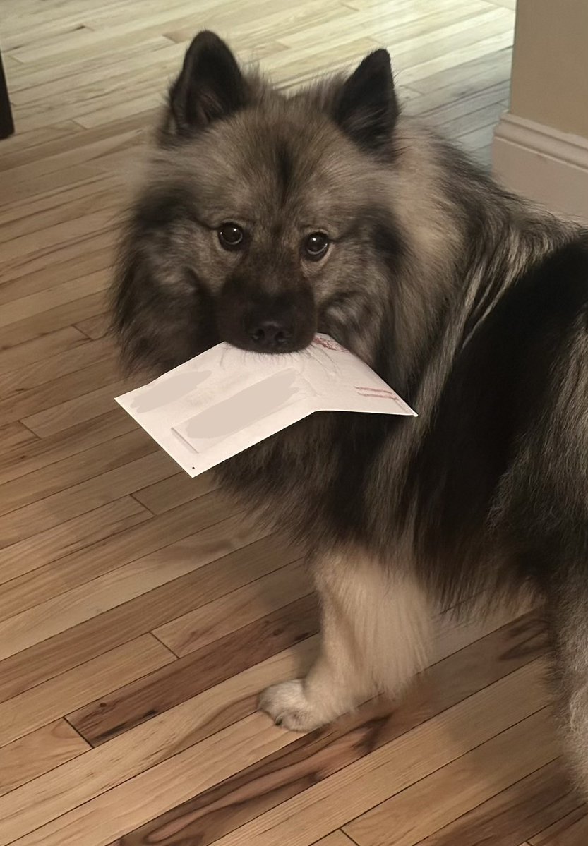 Lollie, Esq. tweet media
