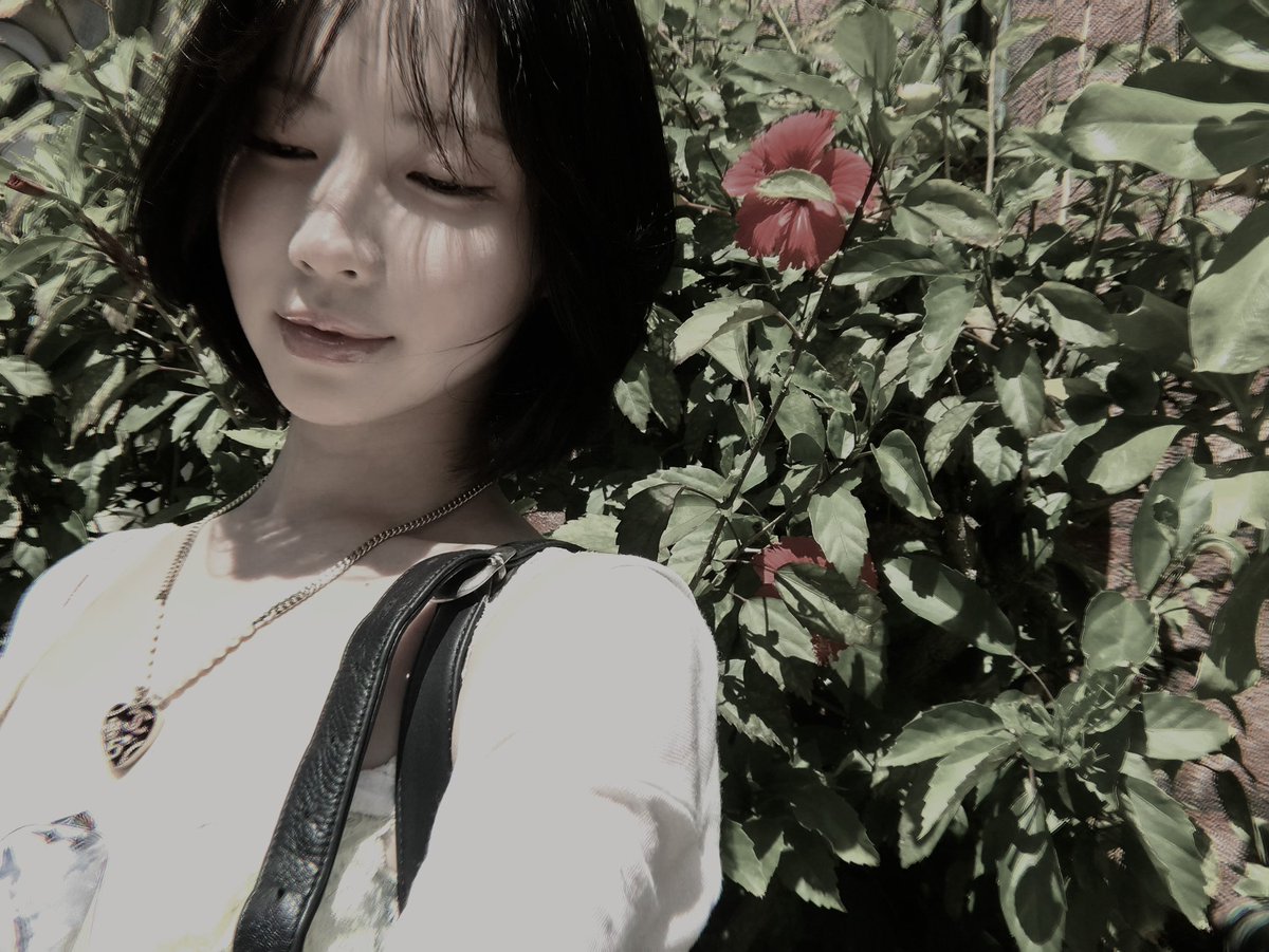 rozcent's tweet photo. ️️
Selamat tanggal satu
Selamat hari sabtu!
  ️️ https://t.co/aWkT3G29JT