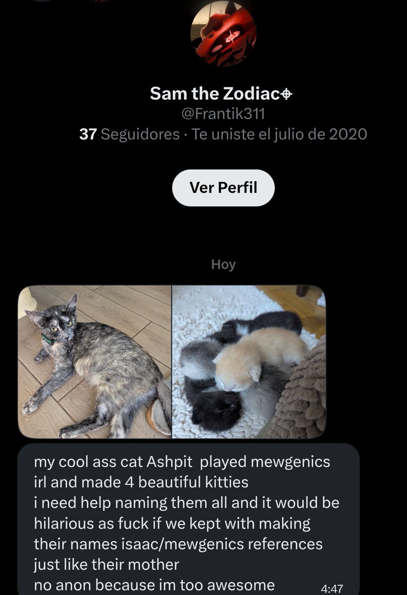 Mewgenics Takes & Confessions tweet media