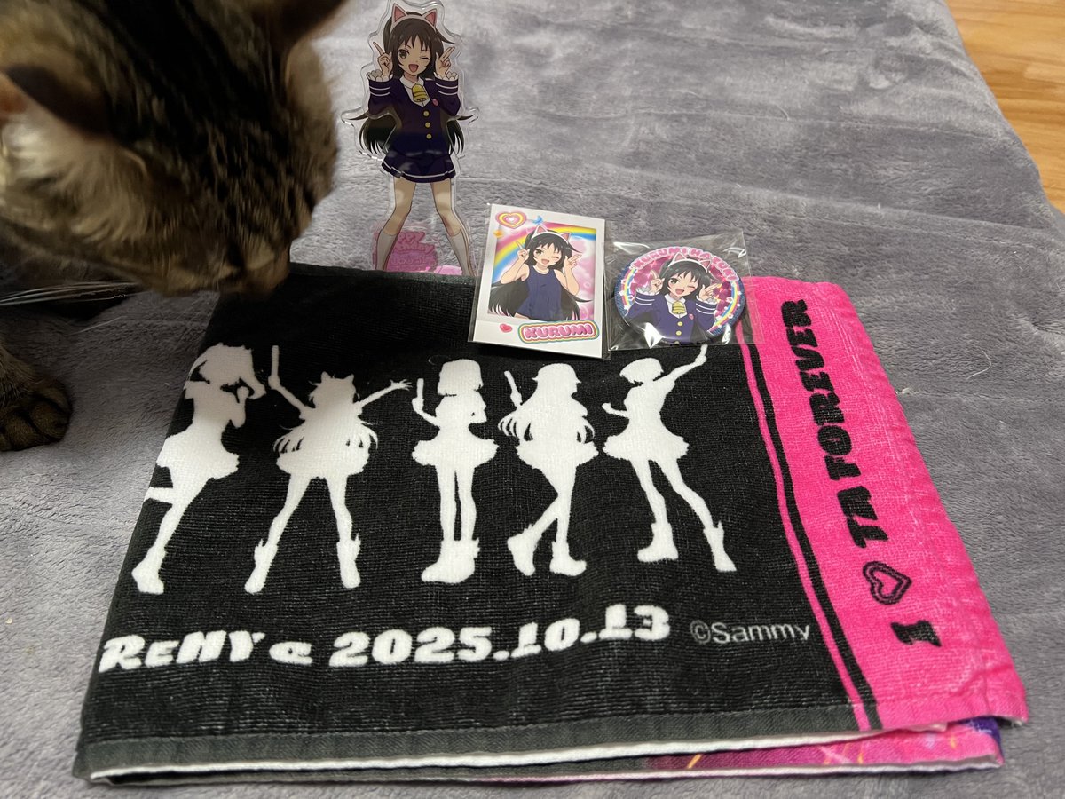 nahomarin's tweet photo. クルミ様生誕祭前に間に合った🥰 https://t.co/PyPhGgJx3M