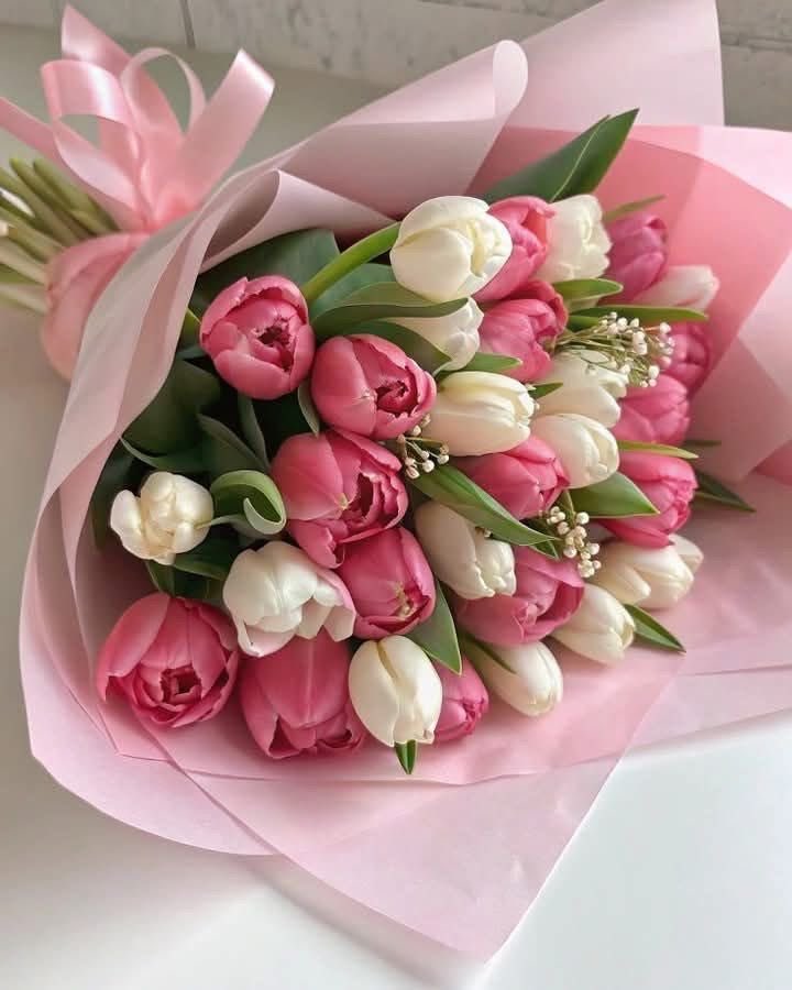 aestheticspost_'s tweet photo. Tulips. 🌷💐 https://t.co/PLcreSJW28