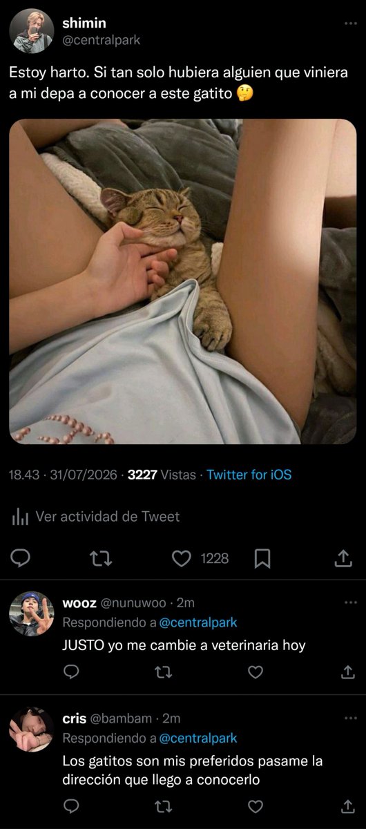 sugdayong's tweet photo. 061 🐱

Gatito. https://t.co/Ef0Us2d20J