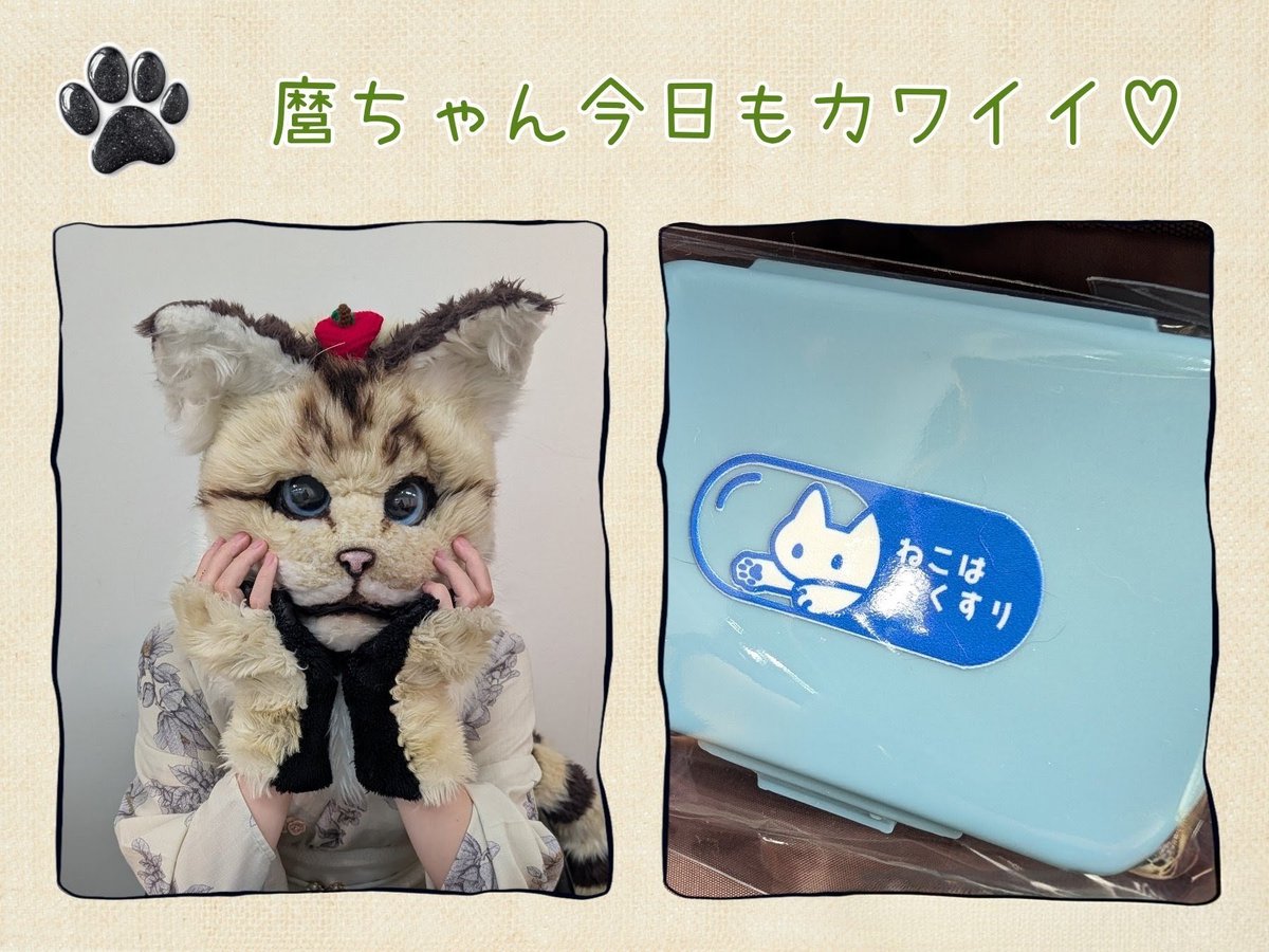 mee_963chan's tweet photo. 少しの時間で申し訳ないけど
麿ちゃんに逢いに行きました😺
お薬ケースお迎えしたよ✨️
#猫宮麿
#ANIMART https://t.co/ZWgjH9gRIt