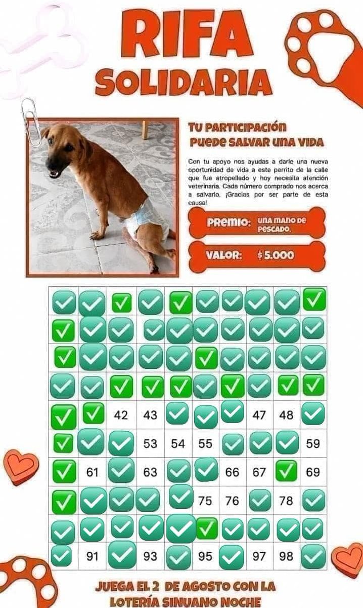 cortesany2 tweet picture
