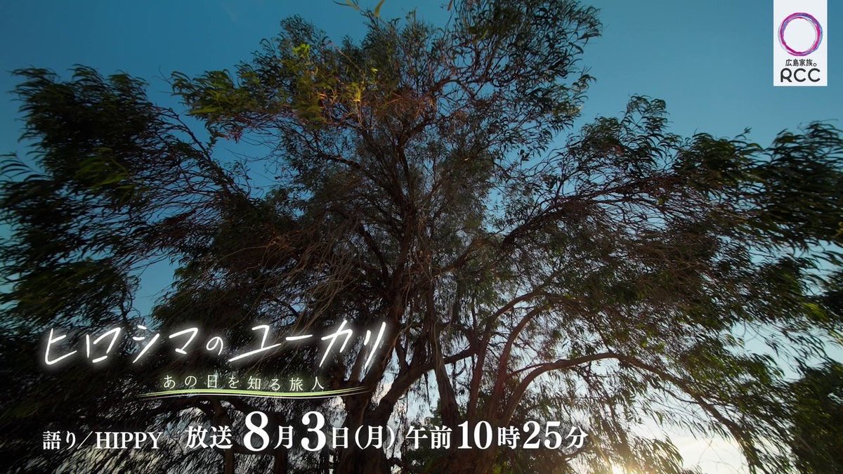 HIPPY_STAFF's tweet photo. 【番組】
#RCCテレビ
『ヒロシマのユーカリ ～あの日を知る旅人～』　#HIPPY がナレーションを担当させていただきました🎙️

2026年8月3日(月) 10:25～10:55に
放送されます📺

ぜひ、ご覧ください。
https://t.co/EPvaaJyORh https://t.co/05jEiZ4i14