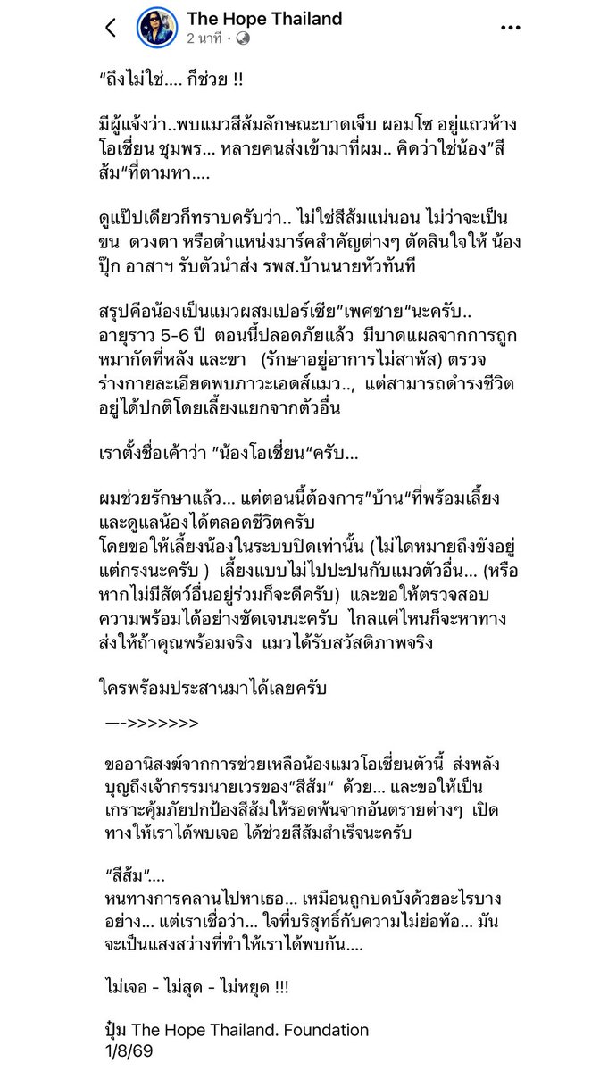 tonever22's tweet photo. พี่ปุ๋ม อัปเดตนะคะ ช่วยรักษาแล้ว แต่ตอนนี้ต้องการ “บ้าน” เราตั้งชื่อเค้าว่า “น้องโอเชี่ยน” 

มีบาดแผลจากการถูกหมากัดที่หลัง และขา (รักษาอยู่อาการไม่���าหัส) ตรวจร่างกายละเอียดพบภาวะเอดส์แมว แต่สามารถดำรงชีวิตอยู่ได้ปกติโดยเลี้ยงแยกจากตัวอื่น 

ที่พร้อมเลี้ยงและดูแลน้องได้ตลอดชีวิต โดยขอให้เลี้ยงน้องในระบบปิดเท่านั้น (ไม่ได้หมายถึงขังอยู่แต่กรงนะครับ ) เลี้ยงแบบไม่ไปปะปนกับแมวตัวอื่น (หรือหากไม่มีสัตว์อื่นอยู่ร่วมก็จะดี) และขอให้ตรวจสอบความพร้อมได้อย่างชัดเจนนะครับ ไกลแค่ไหนก็จะหาทางส่งให้ถ้าคุณพร้���มจริง แมวได้รับสวัสดิภาพจริง 

ใครพร้อมประสานไปหาพี่ปุ๋มนะคะ 🙏🏻￼🫶🏻

#แมวหายบนรถไฟ #แมวหาบ้าน #หาบ้านให้แมว #ทาสแมว #น้องแมว #แมว #ชุมพร