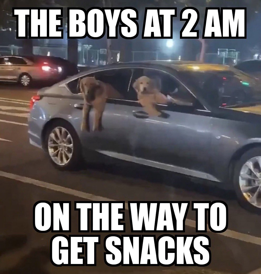 TopFunnyMeme's tweet photo. #funnymeme https://t.co/UJKz0nmZ82