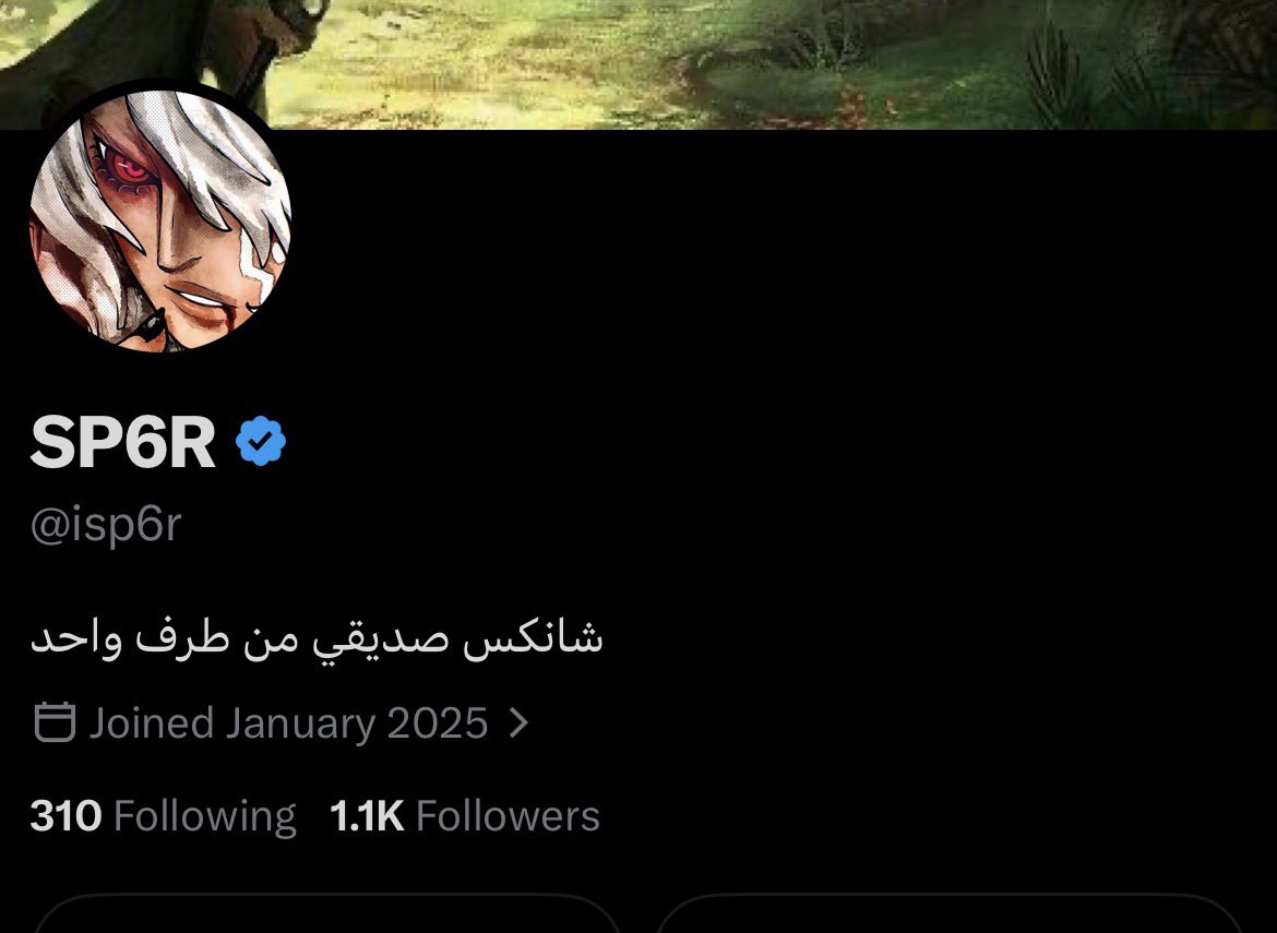 SP6R tweet media