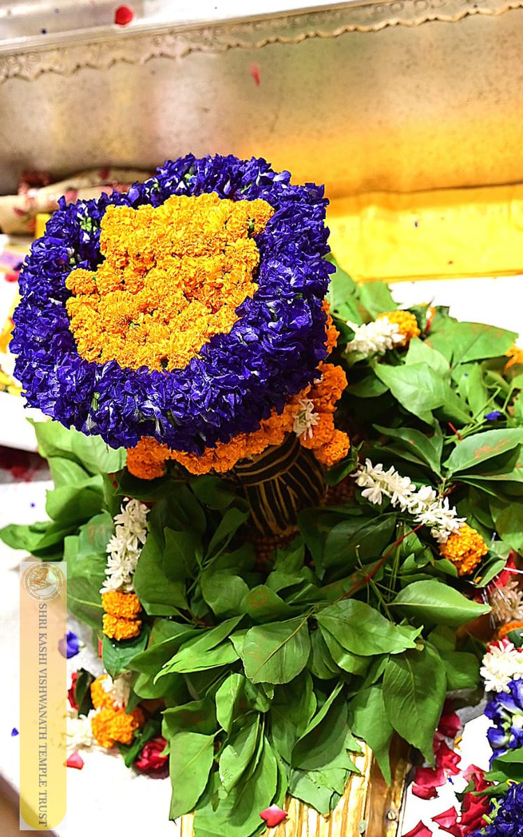 ShriVishwanath's tweet photo. श्री काशी विश्वनाथ जी की मंगला आरती I
#kashivishwanath #kashi #sanatandharma #banarasisilk https://t.co/SUVMPuC578