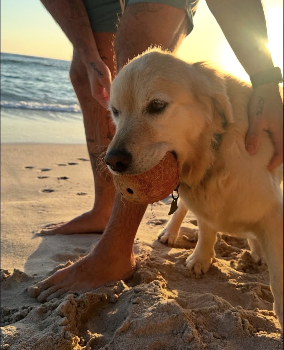 adrienrfk's tweet photo. Ojalá y el verano nunca se acabe🌴 https://t.co/klZ9GRtFGF
