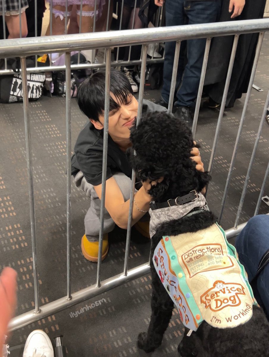 b1tesize's tweet photo. baby black cat meets dog for the first time https://t.co/EYpVD0GECy