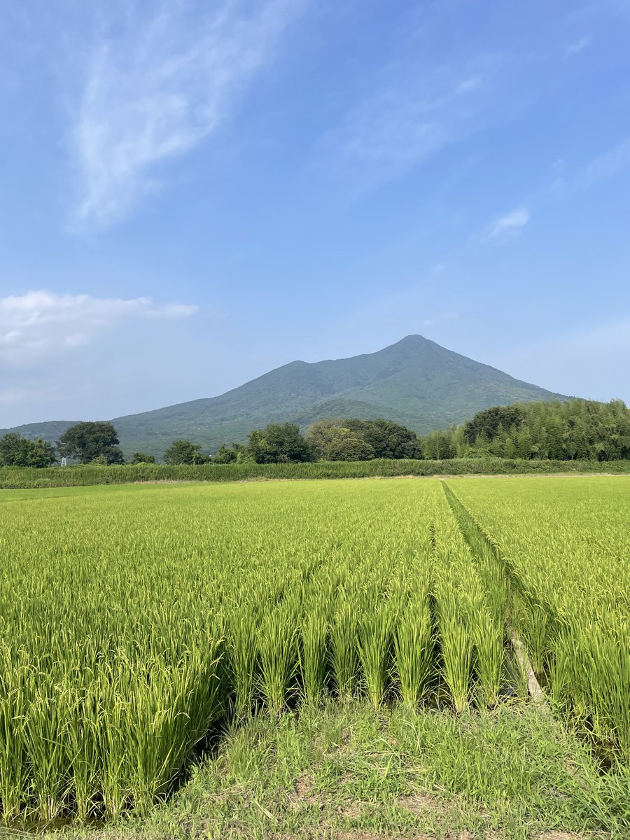 sichuanfuu's tweet photo. 8/1土
昼夜通常営業です🍆

ちょっとアレに人生の全てを捧げております関係でこの辺りで失礼致しますm(__)m
※写真はイメージです。

本日もご来店お待ちしております🍜 https://t.co/tY2FML7NLs