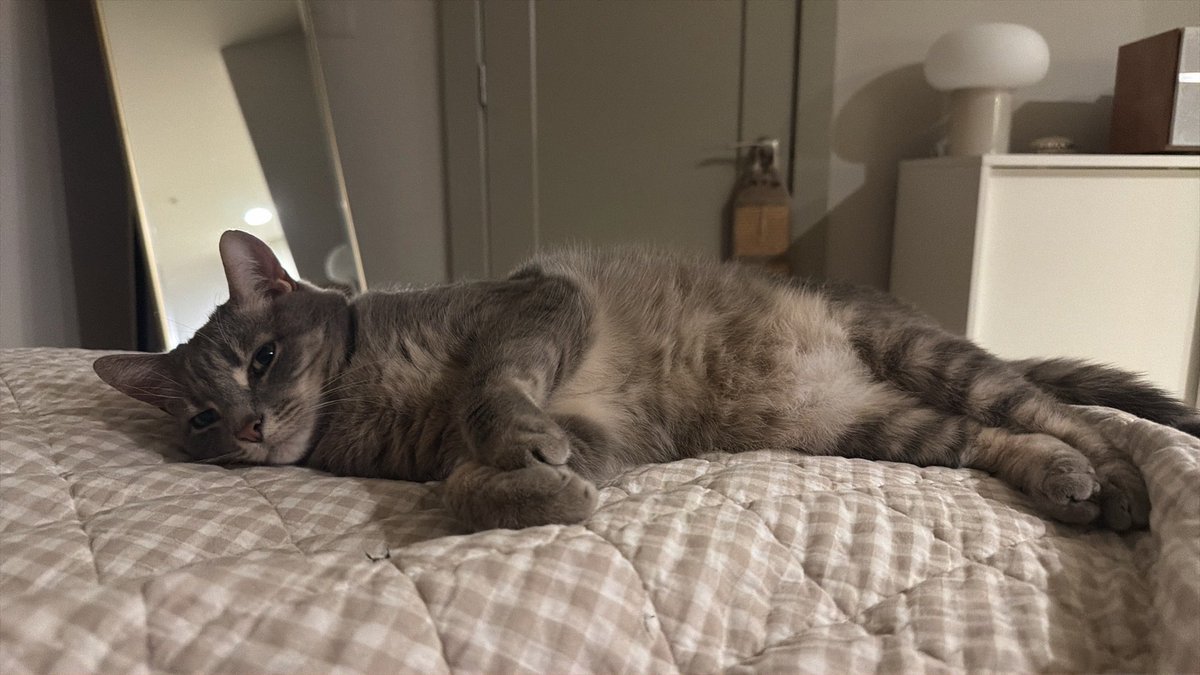 iluvmomoo's tweet photo. belly https://t.co/DwUdzLgcvC