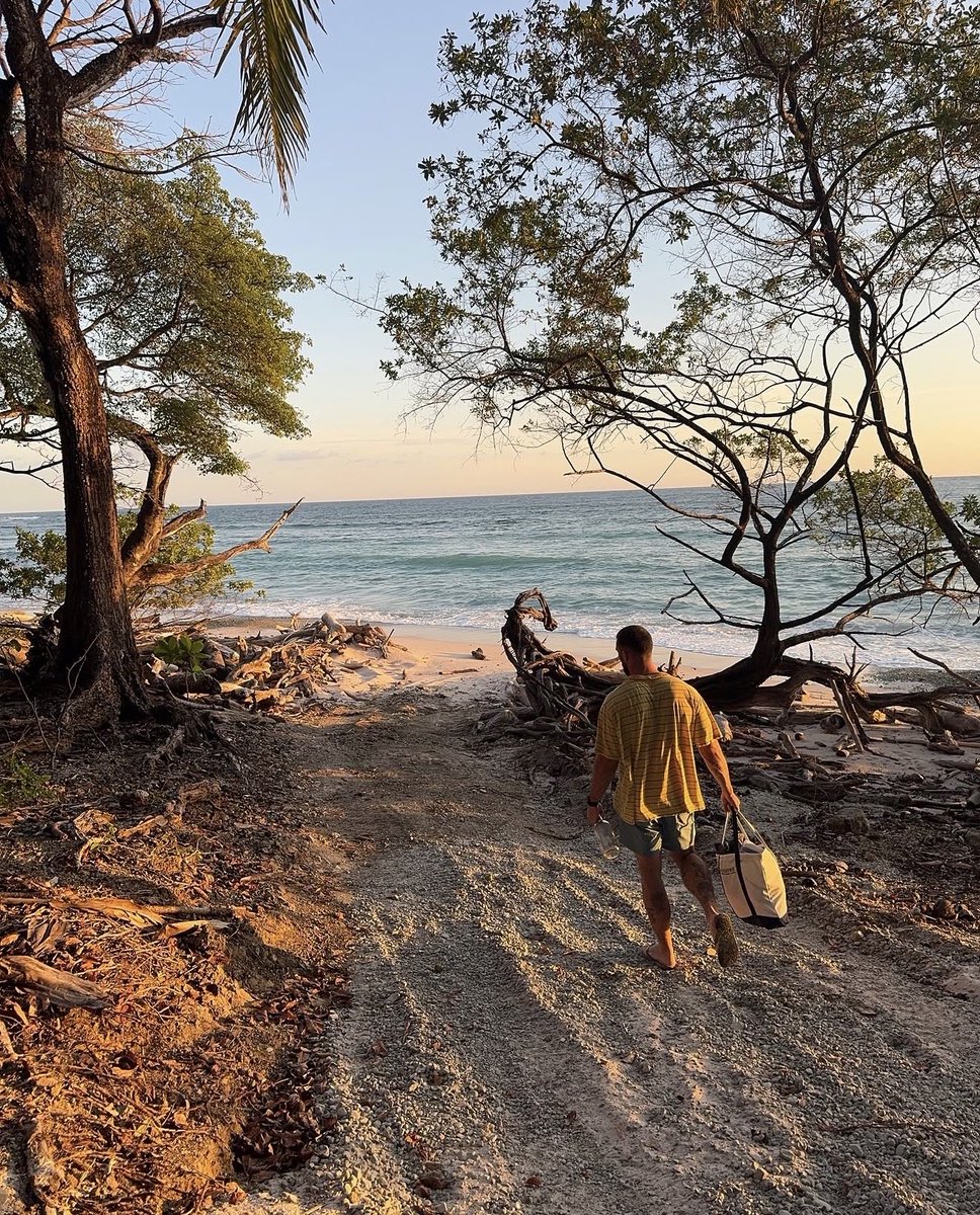 adrienrfk's tweet photo. Ojalá y el verano nunca se acabe🌴 https://t.co/klZ9GRtFGF