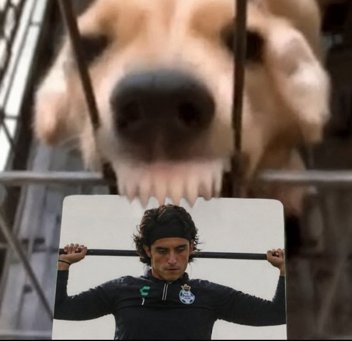 cxnsuh's tweet photo. Yo cuando Acevedo https://t.co/lS872K9yE1