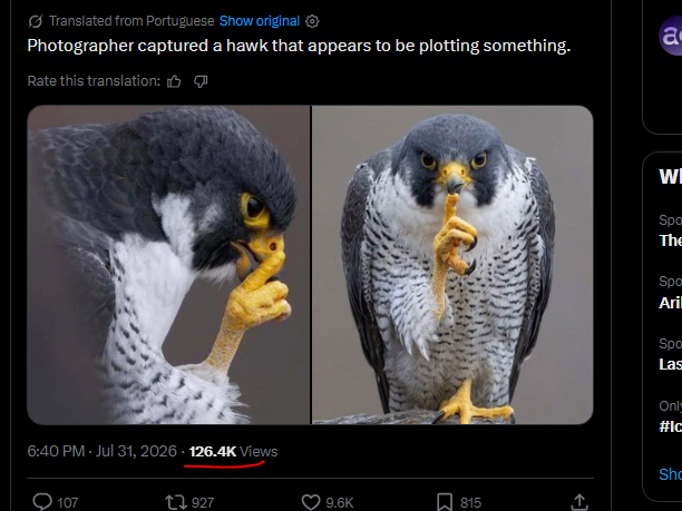 AxTrades32's tweet photo. 10x the views in an hour...

Plotting $HAWK is still early https://t.co/JYgOANfJxa