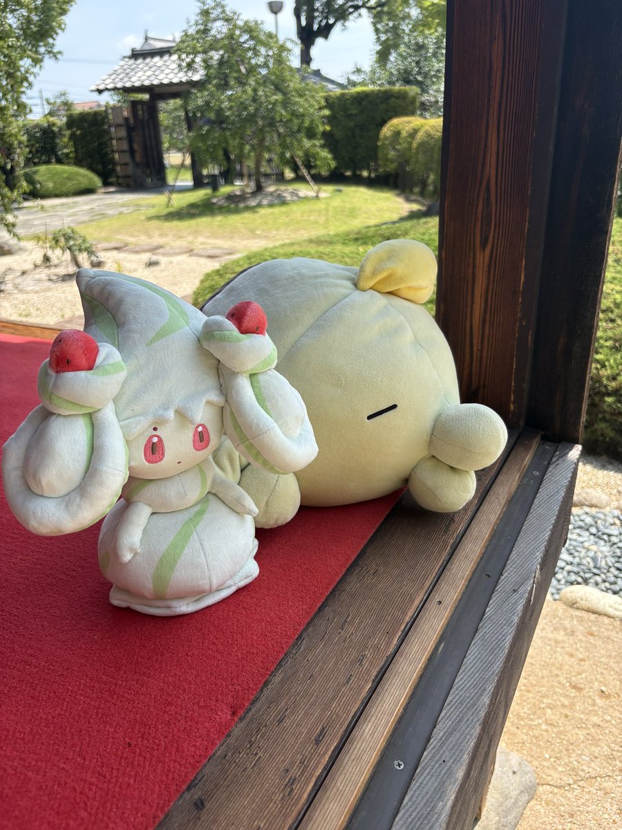 soi_07's tweet photo. ヌメ旅〜 https://t.co/MFLDOpuWbU