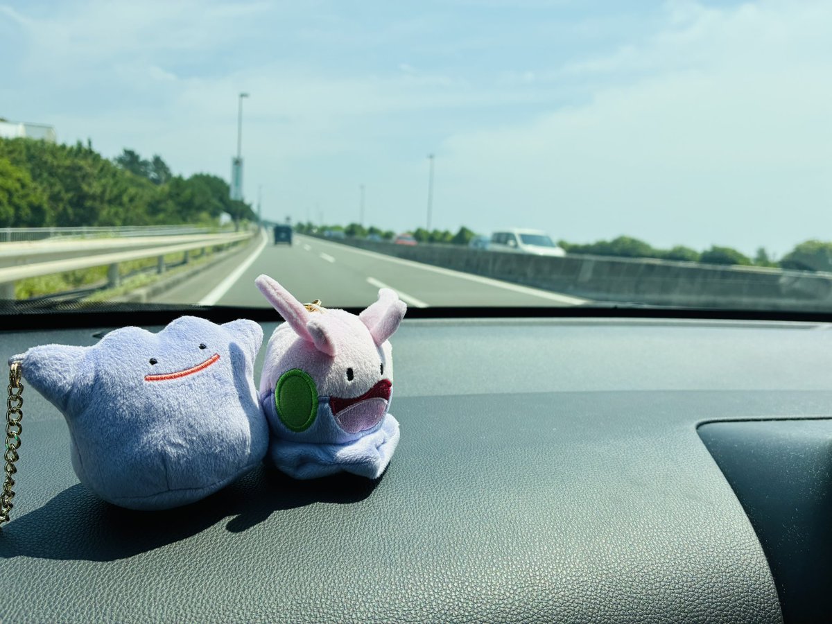 pledgemind's tweet photo. かわい子ちゃん達連れてお出かけ🚗³₃

ちなみに誕生日だったりする⸜( ᐛ )⸝ https://t.co/X3LgOthNNR