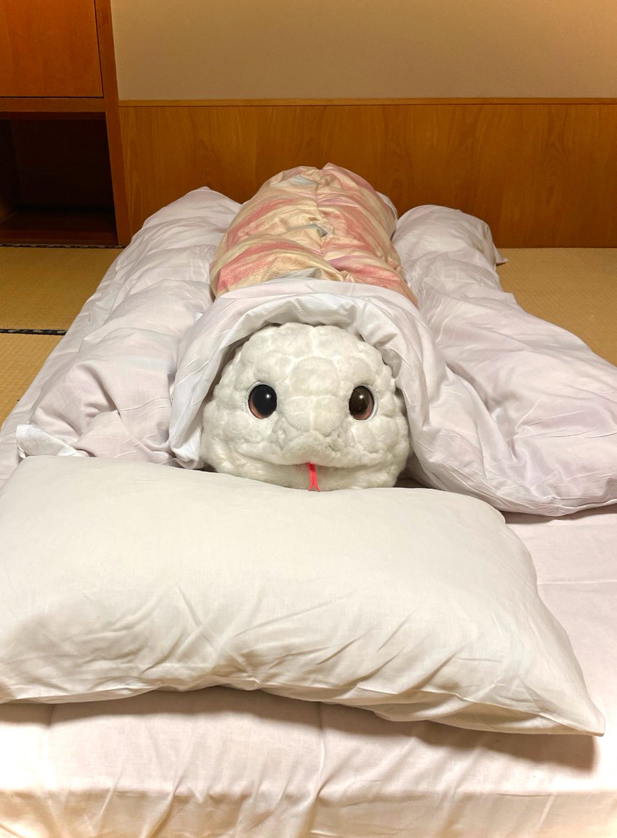 SoW_Snake's tweet photo. #OFFFで会えません 
まだイベント充電期間〜……！🐍 https://t.co/Vp7ZuIbzLR