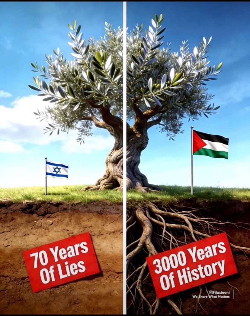 Narjissweet's tweet photo. Israel has no history. https://t.co/IwOhLJOTHC