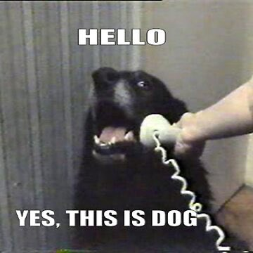 Phayneee's tweet photo. This will pump harder $Calldog https://t.co/eQPhUCifRK