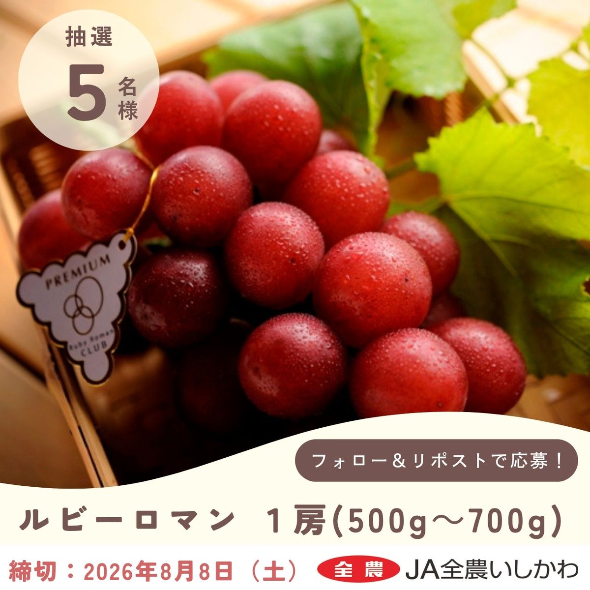 shokuikuzennoh's tweet photo. 「#ルビーロマン」プレゼント企画🍇

「ルビーロマン」1房（500g～700g）が当たるキャンペーンを開催🎉🎉

抽選で5名様にプレゼントします！

応募方法
1️⃣@shokuikuzennohをフォロー
2️⃣この投稿をリポスト

〆切👉2026/8/8（土）

#全農 #JA全農いしかわ https://t.co/fBDrmQ43q9