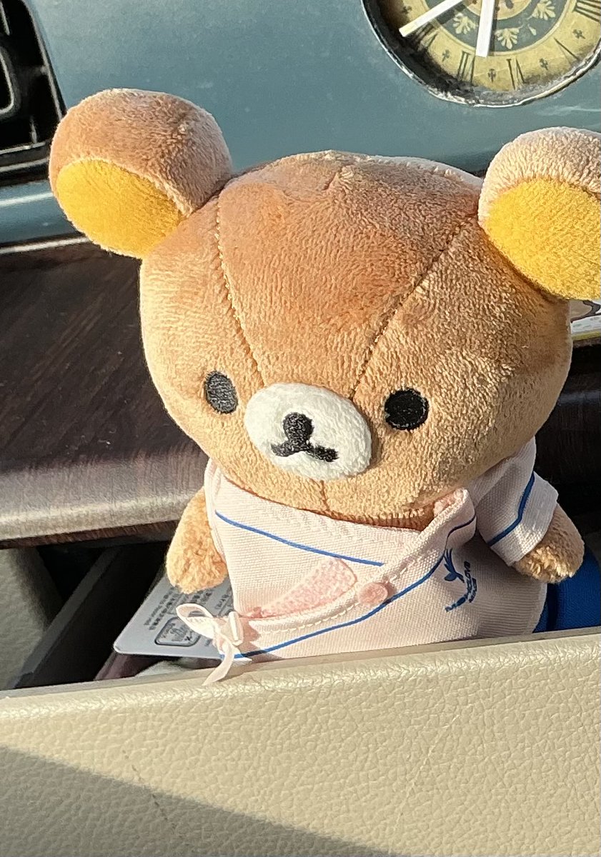 boguscorey's tweet photo. この子が迷子になってしまいました。
トーマスエリア近辺だと思います。

#富士急ハイランド
#サンエックスパラダイス https://t.co/7xKTumhF4n