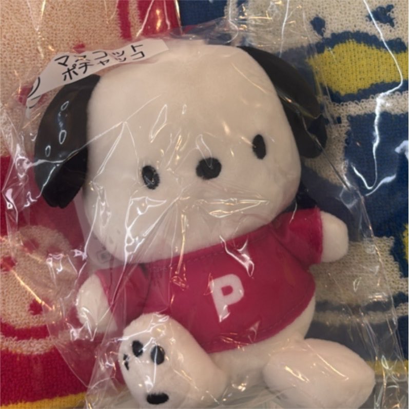 ___4mxo's tweet photo. 【交換】ポチャッコ あひるのペックル あたりくじ 交換

譲　⑤マスコット ポチャッコ
求　⑥マスコット あひるのペックル

本日難波周辺手渡し交換優先、もしくは郵送にて

お気軽にお声掛けくださいᐢ ᴗ . ᴗ ᐢ

#サンリオあたりくじ #サンリオ交換 https://t.co/CsbAinRRYS