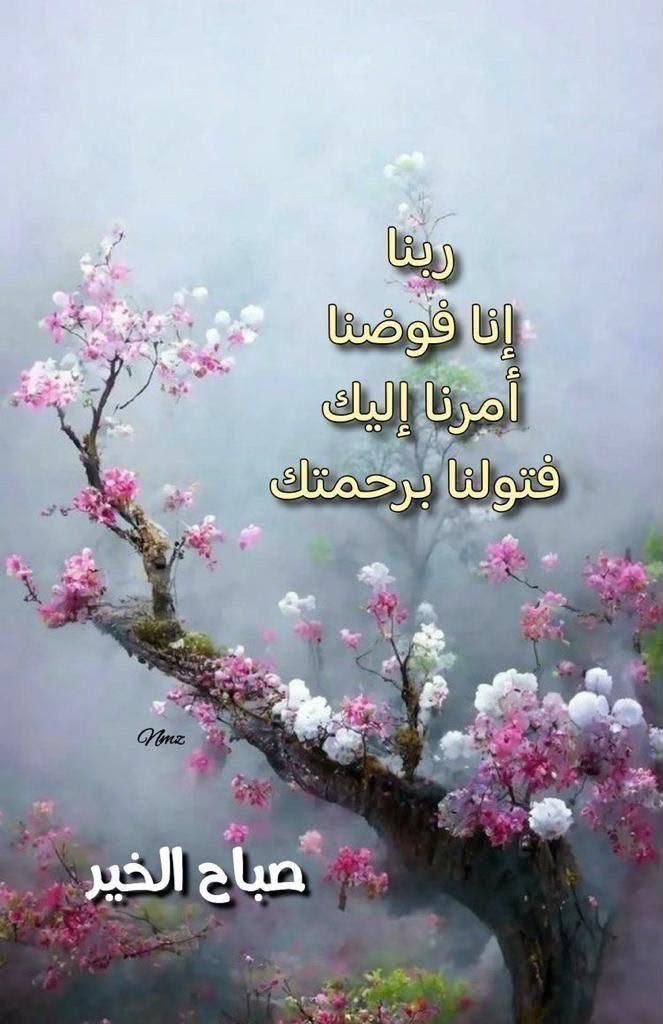 WajeehAzab's tweet photo. https://t.co/kAPRV02YQK