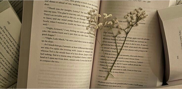 bookishkay's tweet photo. ✧ ˖ . ˖ ⋆ 2026 books ⋆ ˖ . ˖ ✧ https://t.co/Nnils7vQEZ