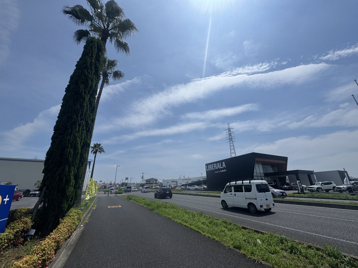 kcat151's tweet photo. 南国感溢れる、波風ですね(?) https://t.co/VaswJJ7cvS