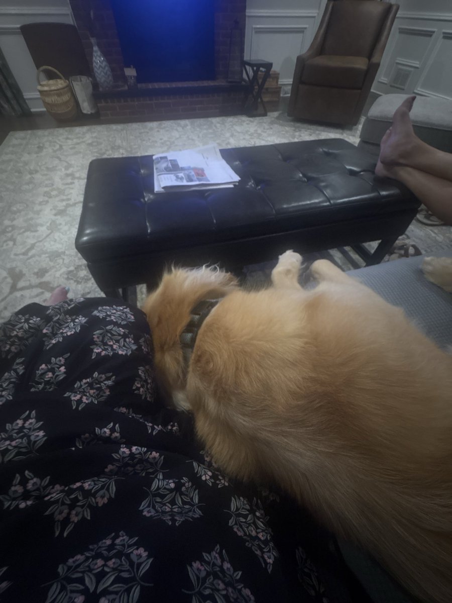 C_MThomas's tweet photo. Hello Baby Gal. What a pal!. 🐶 https://t.co/c7XOfPTZhV