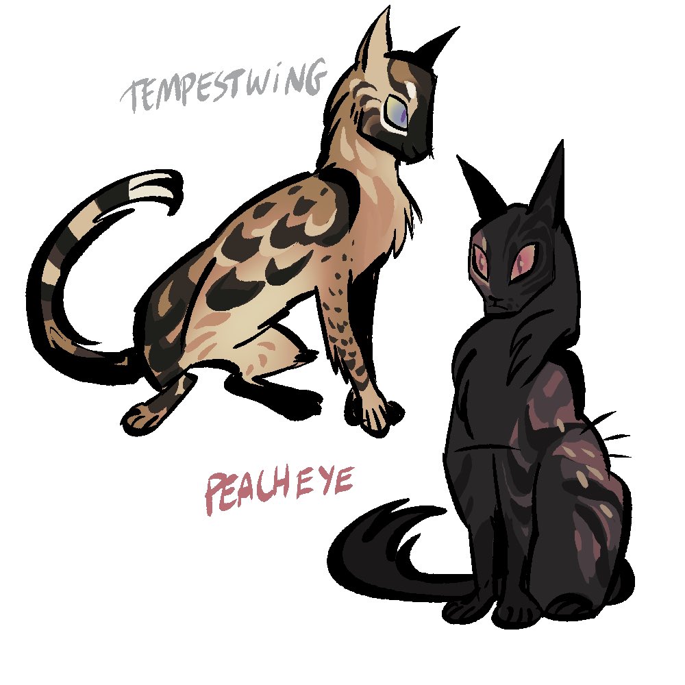 GURGDiRAN's tweet photo. 4 warrior cat adopts! 🐱 I love creating these but I have no interest in keeping ocs, I hope I can make someone else happy with these designs

30 EUR w paypal for 1 kitty, comment/dm if interested 👍 https://t.co/V9h9XyfdA6