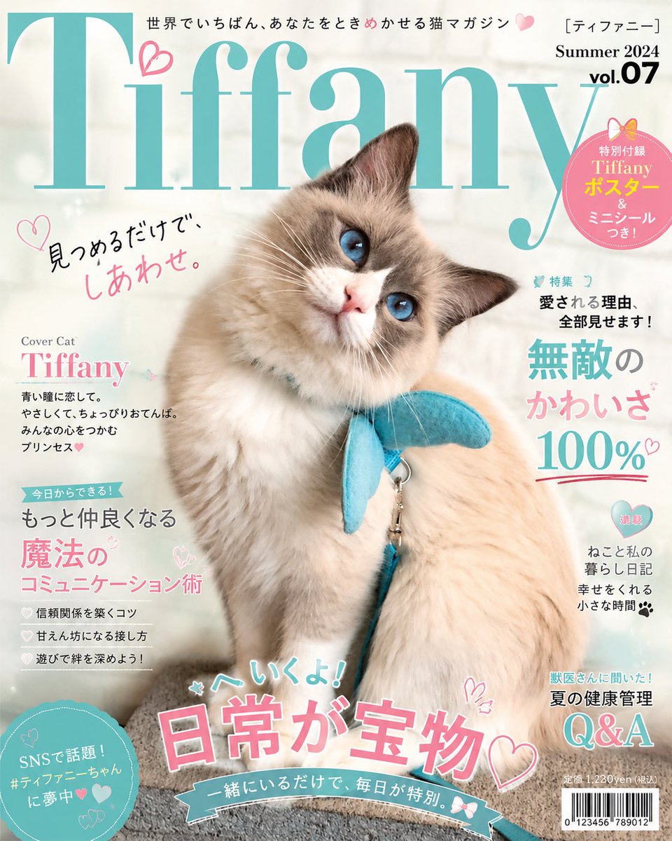 ainosora4's tweet photo. わーーーーい🐾うちの子🤍
教えていただいた猫ちゃん雑誌になるやつ✨出来ました！嬉しい…！
可愛いすぎてやばーい！！親バカだけどっ可愛いでしょ🩵🩵🩵#猫 https://t.co/hkEnyegE9h