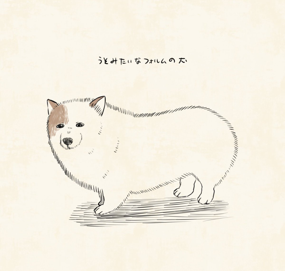kuiruri's tweet photo. とてもかわいい… https://t.co/PmzvFGWGCF