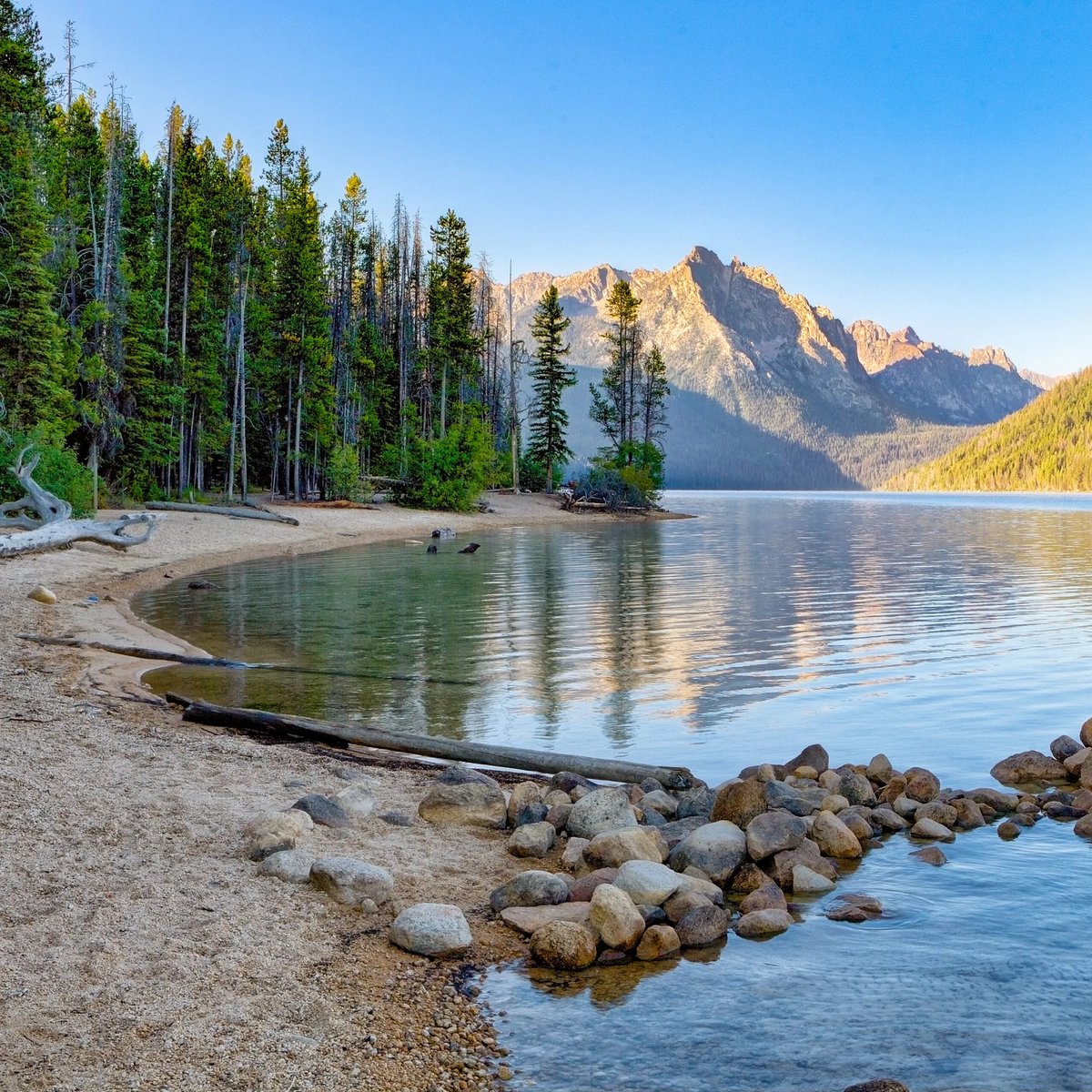 busyrightnw's tweet photo. @PeacemakingSt My cousin was baptized at Redfish Lake https://t.co/FSpYQInKAe