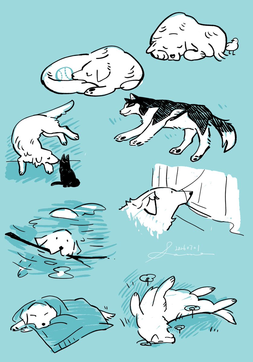 haru_same_3's tweet photo. #今月描いた絵を晒そう
8月はたくさん描きたい https://t.co/8a8p96x07I
