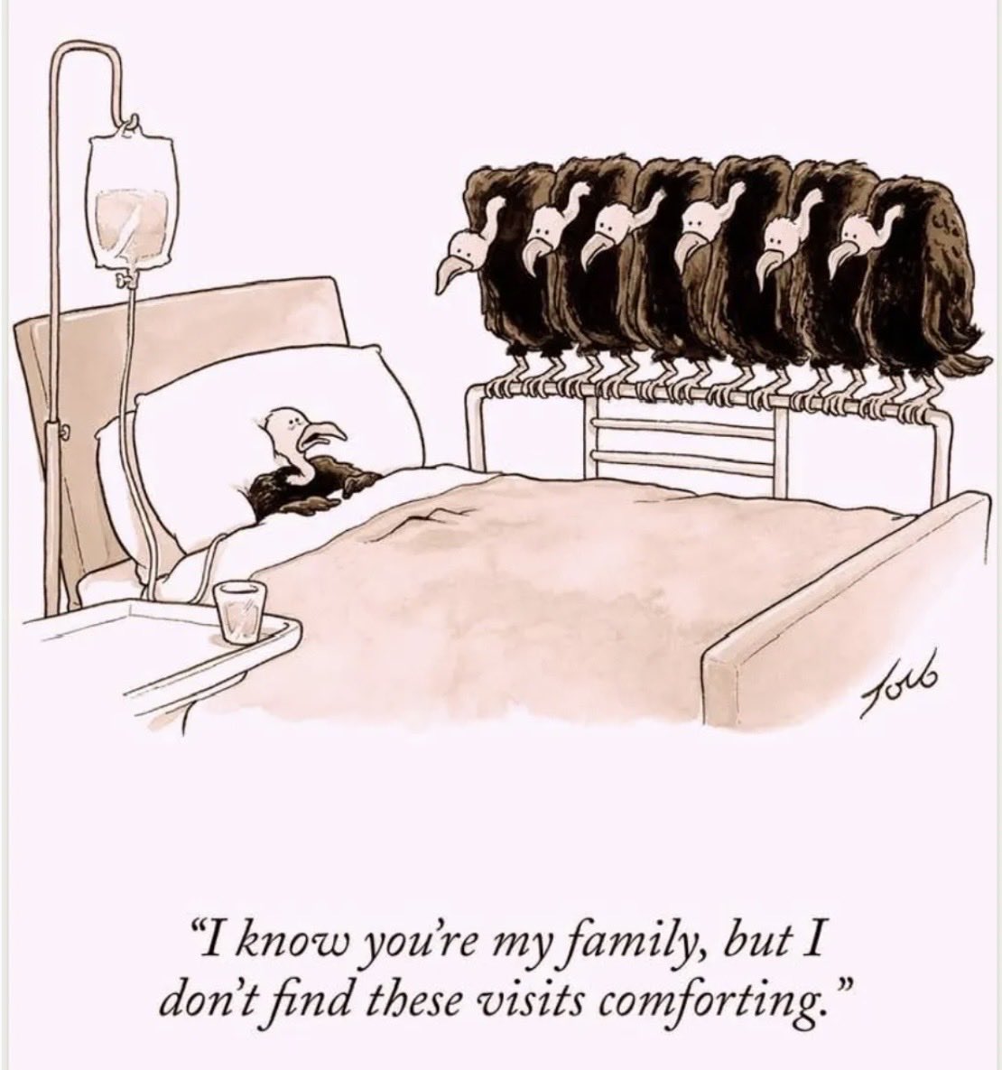 toddcollett's tweet photo. https://t.co/66FR2vl0c9