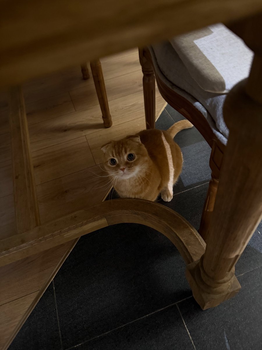 gungunkitty's tweet photo. https://t.co/e3DUTEWCfk