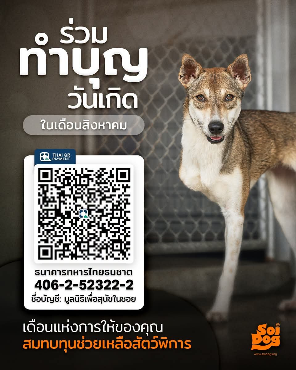 soidogthailand's tweet photo. ปันน้ำใจให้สัตว์จรในเดือนเกิดคุณ 🎂 อิ่มบุญอิ่มใจไปตลอดเดือนสิงหาคม ร่วมทำบุญเดือนเกิดช่วยเหลือสัตว์จรยากไร้ที่ป่วย บาดเจ็บและพิการให้มีคุณภาพชีวิตที่ดีขึ้น
มูลนิธิเพื่อสุนัขในซอย (Soi Dog Foundation)
เลขที่บัญชี 406-2-52322-2
ธนาคารทหารไทยธนชาต (TTB)
https://t.co/bwVC0cxLZ0 https://t.co/2YK2MpkN4y