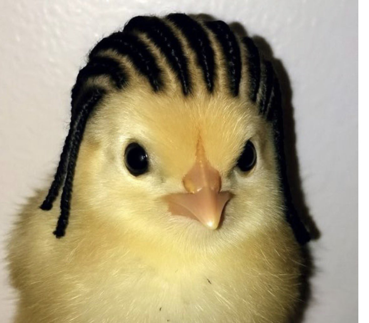 MARY tweet media