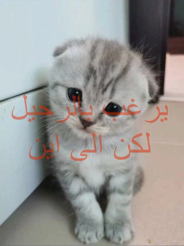utl0t's tweet photo. يحصل الان https://t.co/tjBoy6uHRx