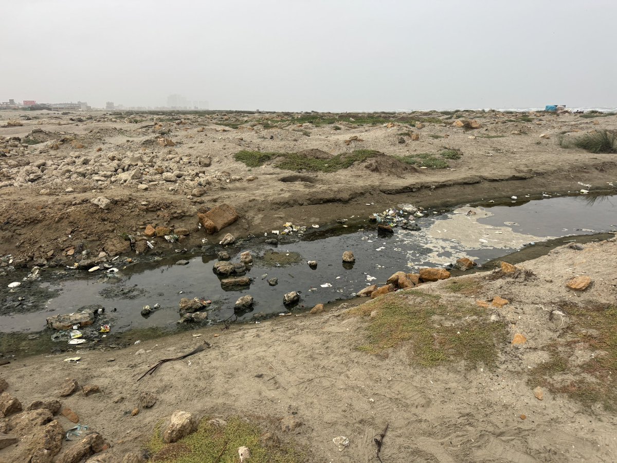 BhuttoZulfikar's tweet photo. I have never been more horrified by Sea View. Getting to the water is such an effort climbing over trash, rubble and various cesspits of sewage. It’s now common to see people speeding on the beach in their cars because the beach has become inaccessible. Who do I tag to get this sh*t sorted 👀- tag in the comments