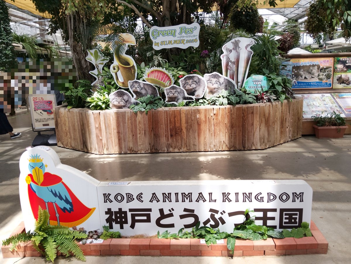Ankh_holick's tweet photo. 昨日、初めて神戸どうぶつ王国へ入国してきました！
ほぼ室内の動物園という珍しい構造で全館空調！涼しく過ごせる…はずだったのですが、一部故障してしまったらしくそれでも良ければとスタッフの方から案内がありました。
 #神戸どうぶつ王国
↓続く https://t.co/dGGQcsMsVX