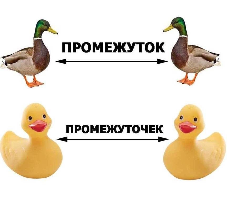HatefullR's tweet photo. @jashin_gopnik Русский много знают, но понимаешь ли ты его?) https://t.co/sDqkcMUCkH