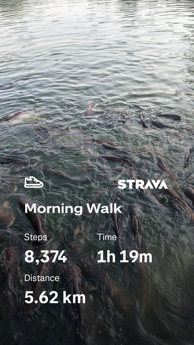 encikmeor4life's tweet photo. Recovery mode #003
#hustledemihasil #run #funrun #bukanrunnertapinaksihat #Larilah #weekendrun #funwalk #RunningThreads #WalkingThreads https://t.co/F8eMam9ika